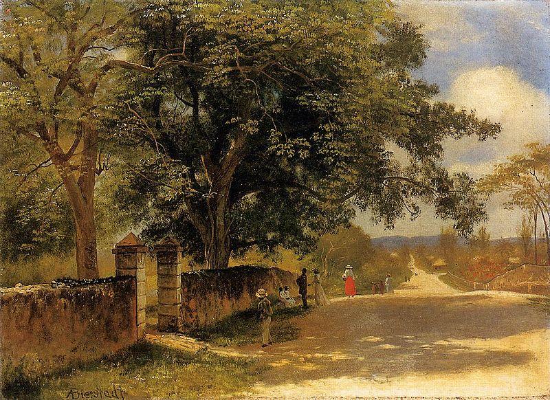 Albert Bierstadt Street in Nassau France oil painting art